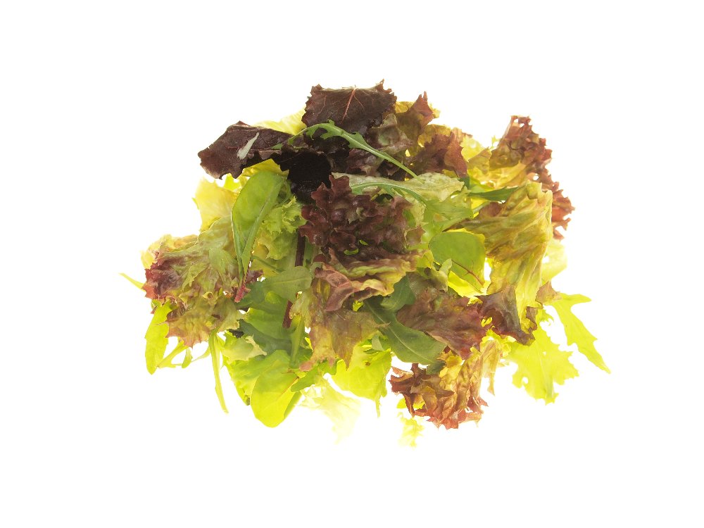 Fresh-Cut-Seite KW29-30 FF Salatmischung Creno